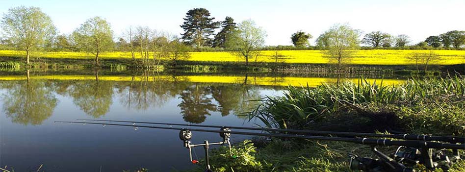 2rods.jpg