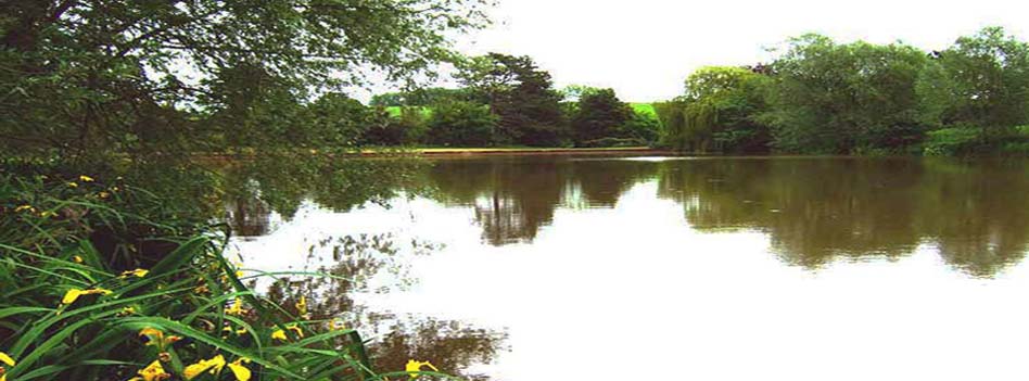 view_swim_6.jpg